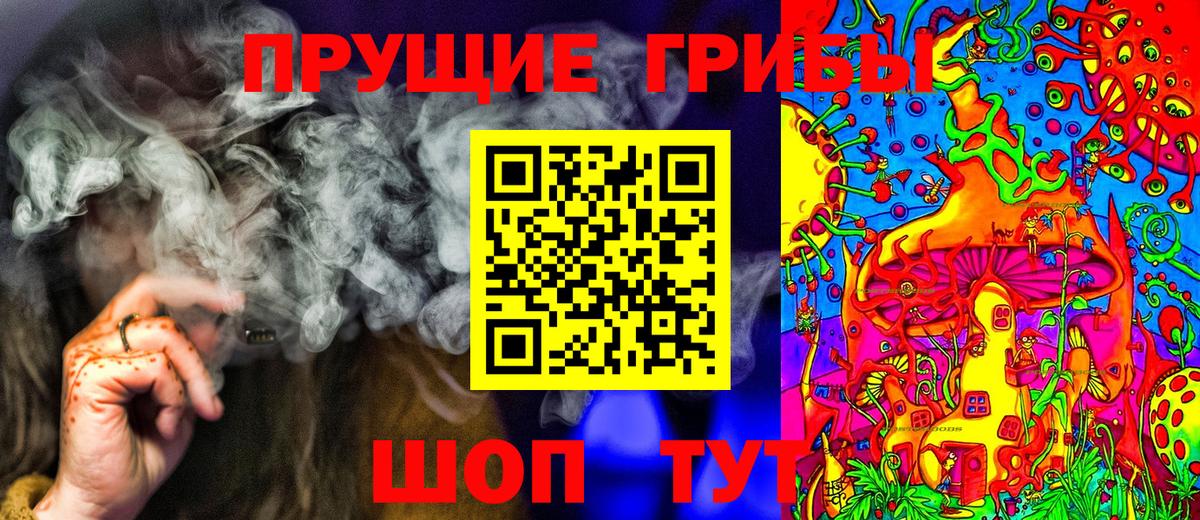 Галлюциногенные грибы Psilocybine cubensis Канаш